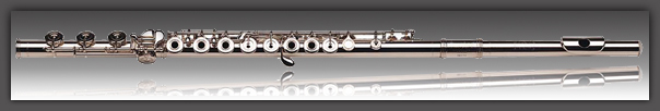 flute union musicale de la motte servolex